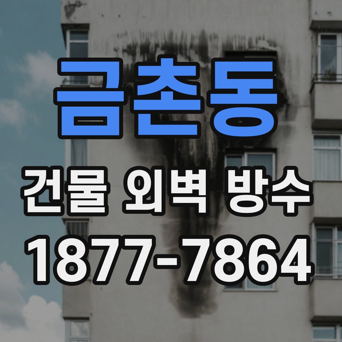 금촌동 건물 외벽 방수