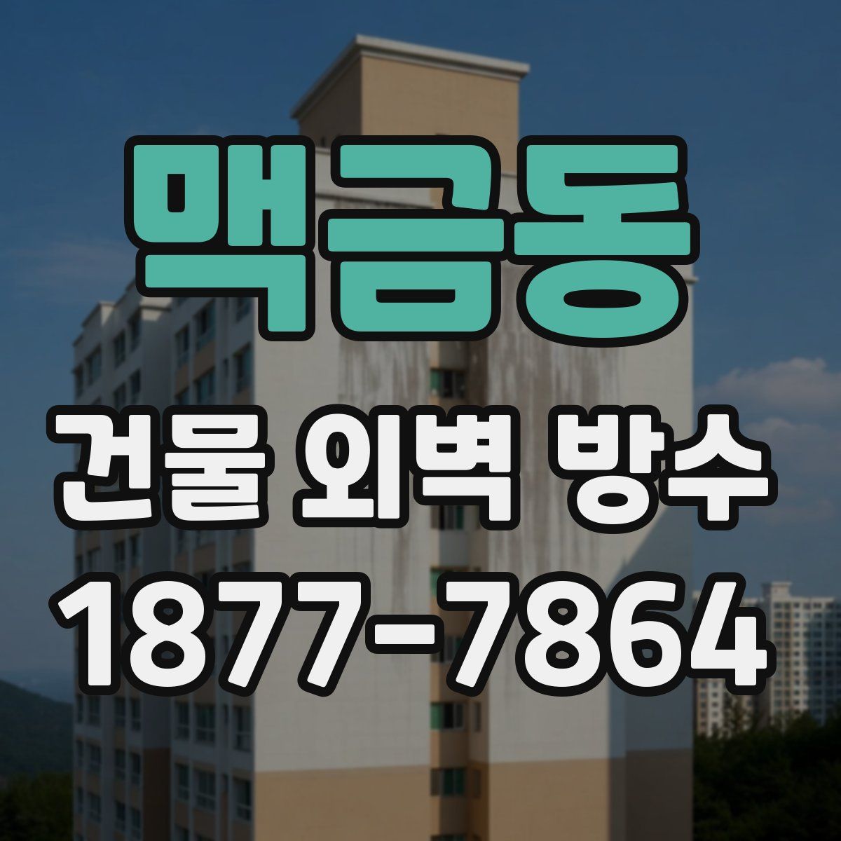맥금동 건물 외벽 방수