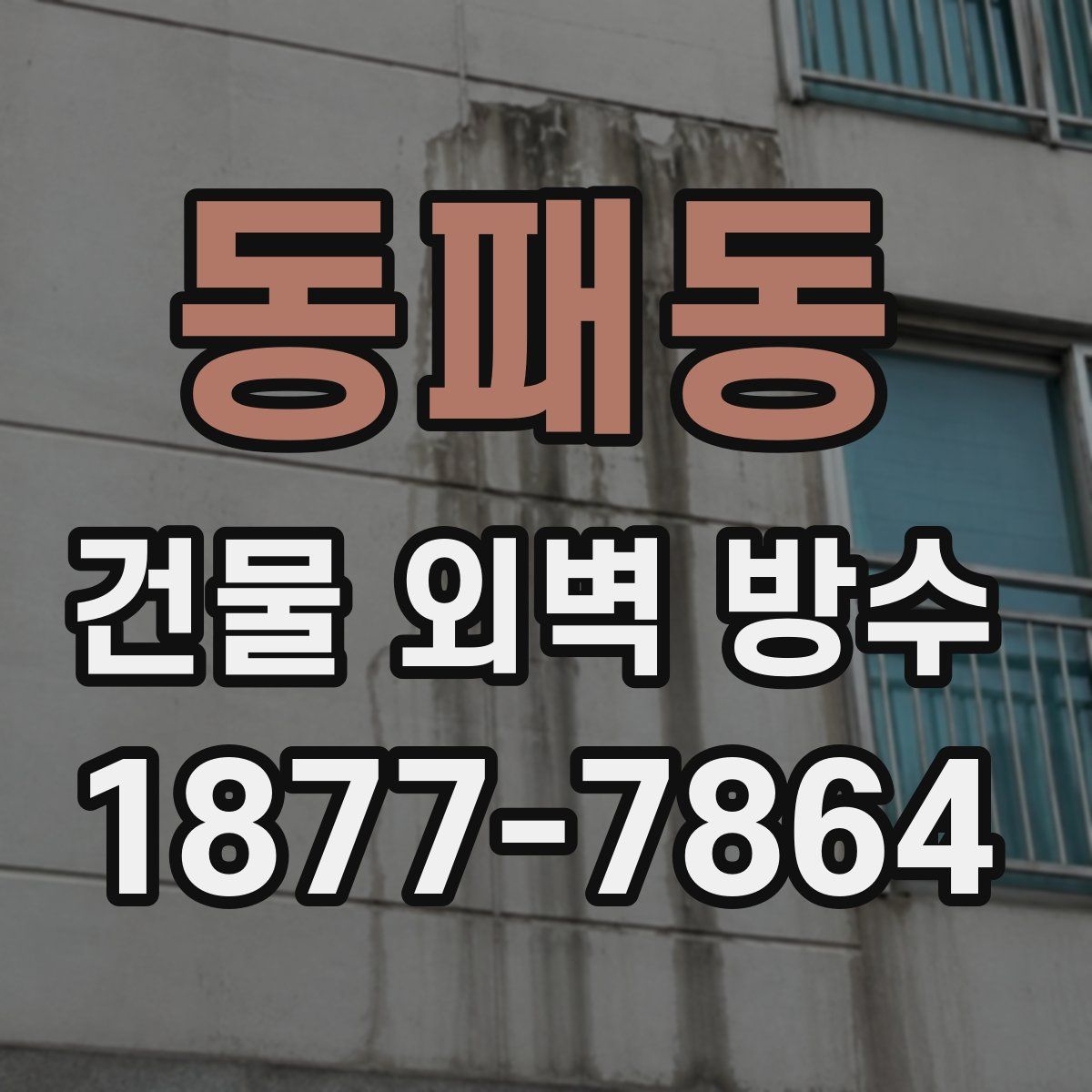 동패동 건물 외벽 방수