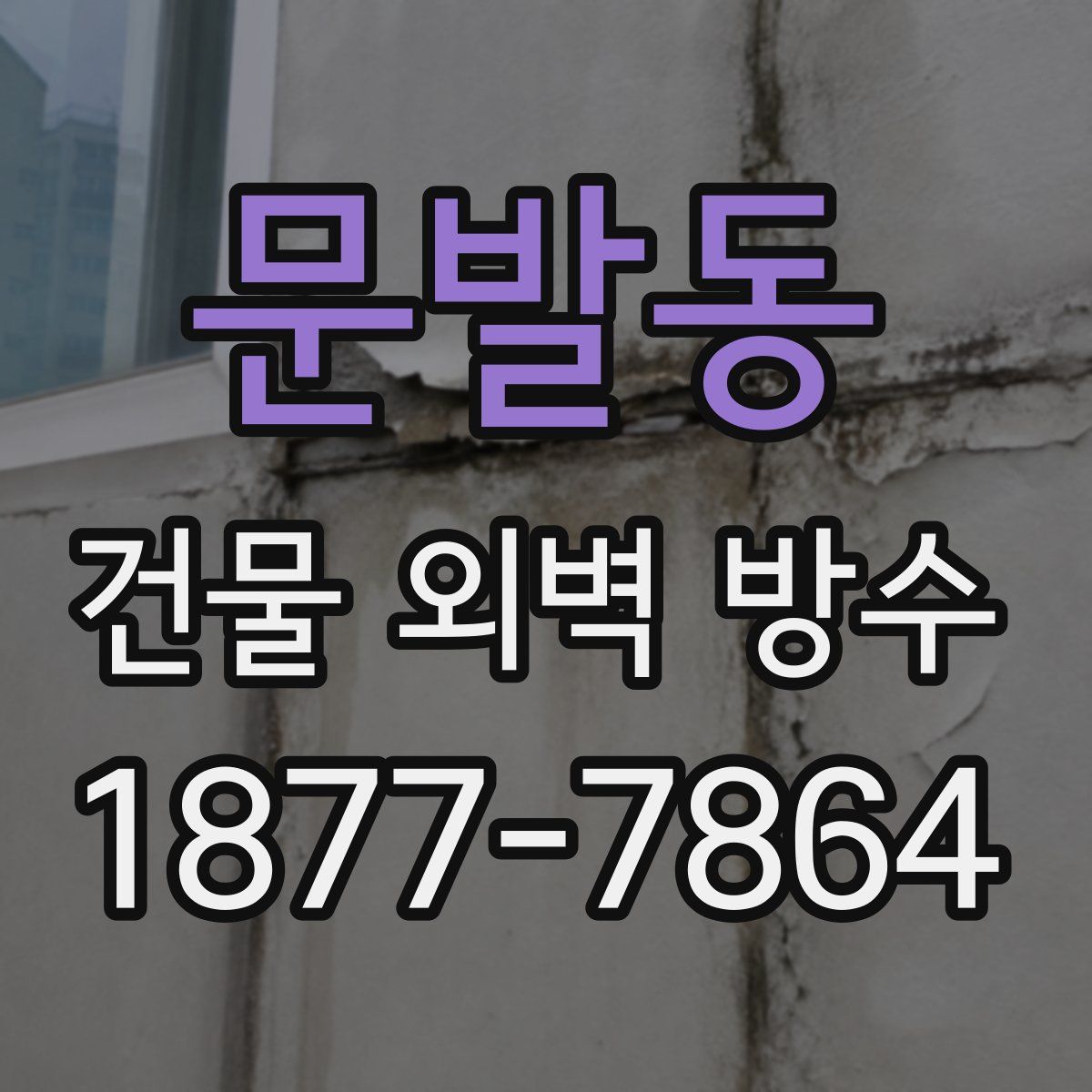 문발동 건물 외벽 방수