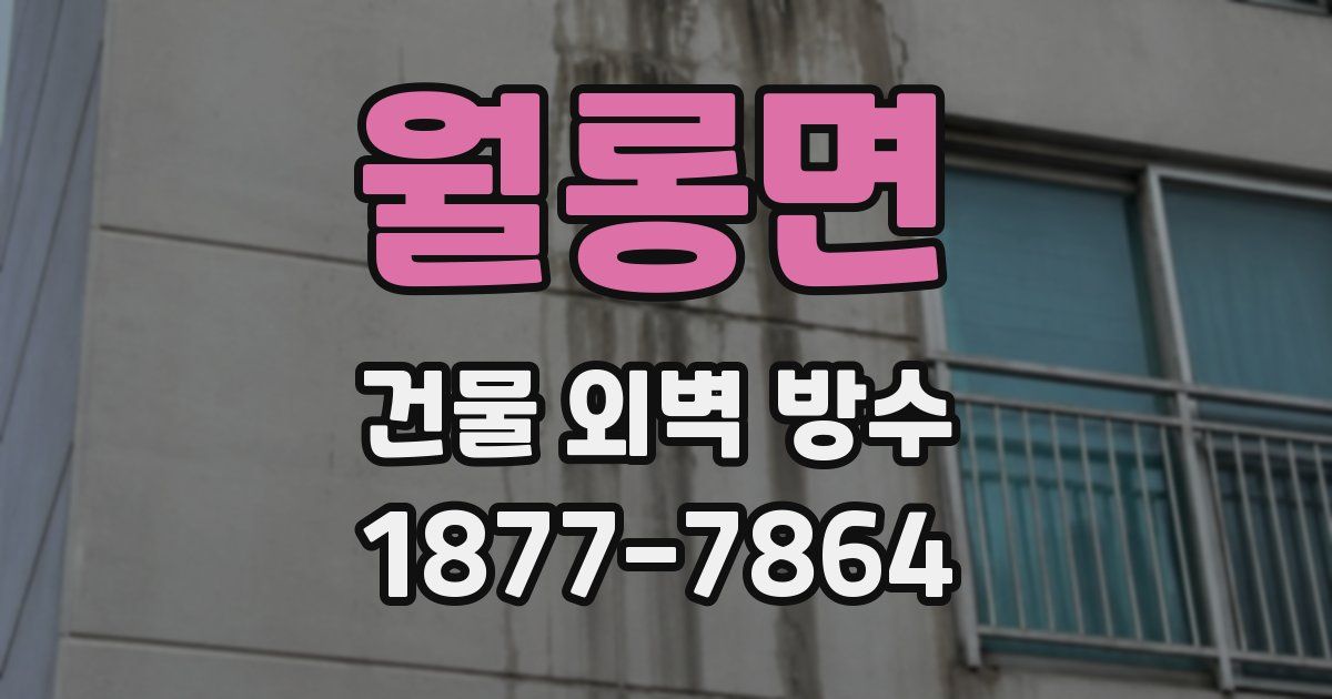 월롱면 건물 외벽 방수