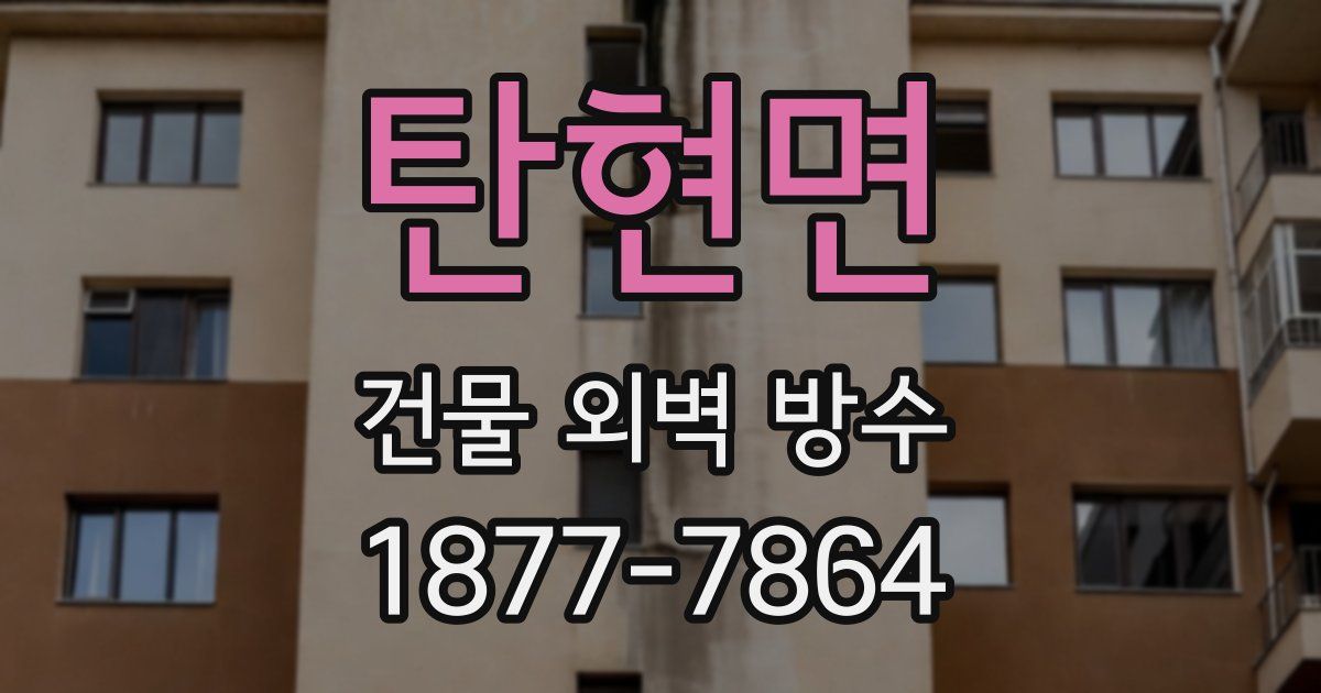 탄현면 건물 외벽 방수