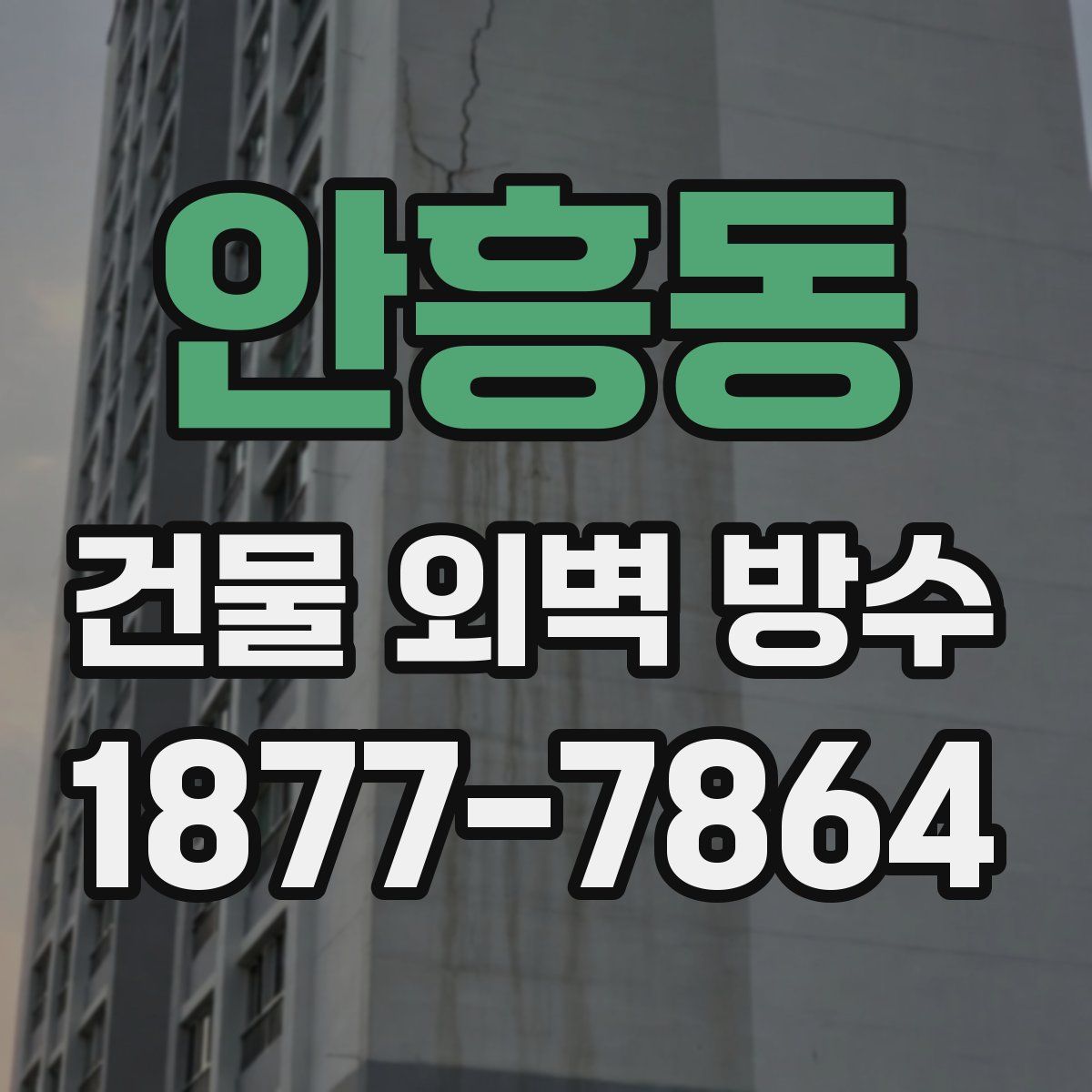 안흥동 건물 외벽 방수