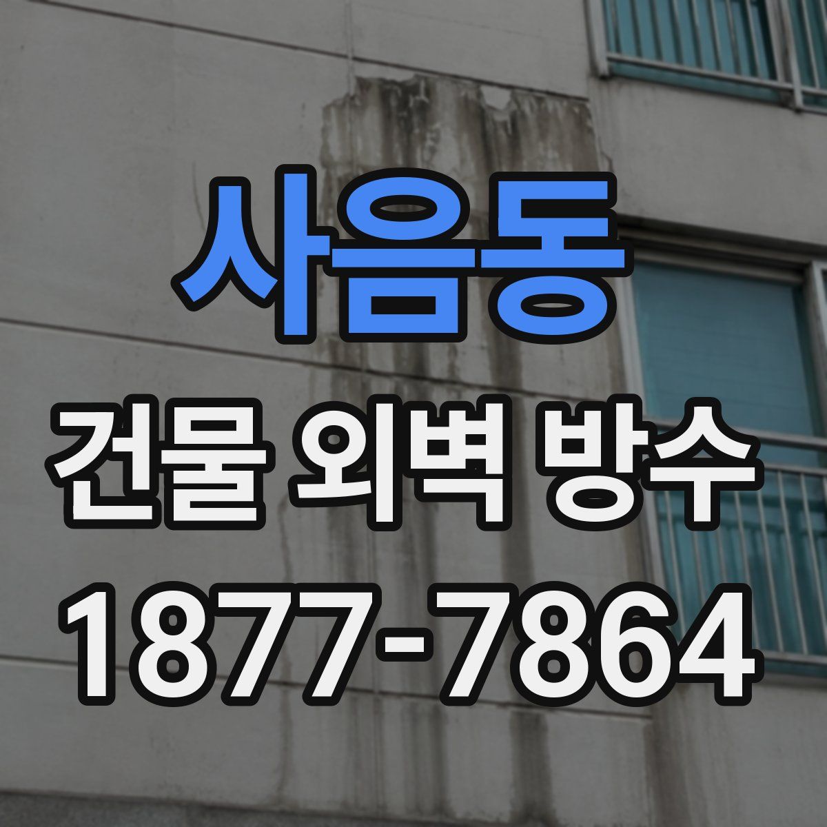사음동 건물 외벽 방수