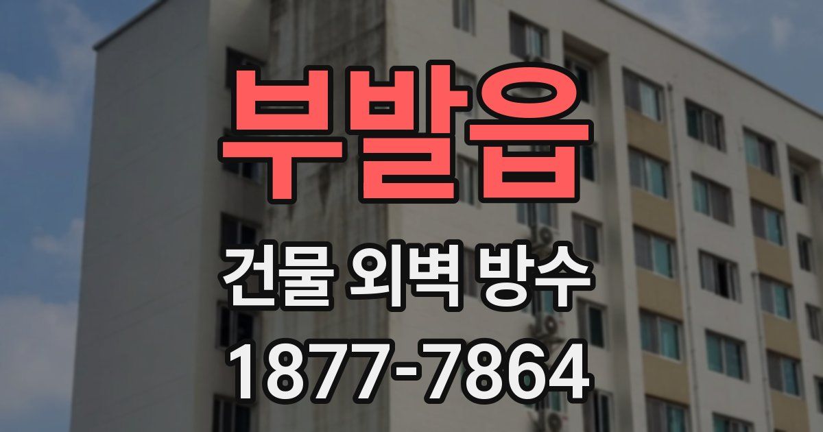 부발읍 건물 외벽 방수