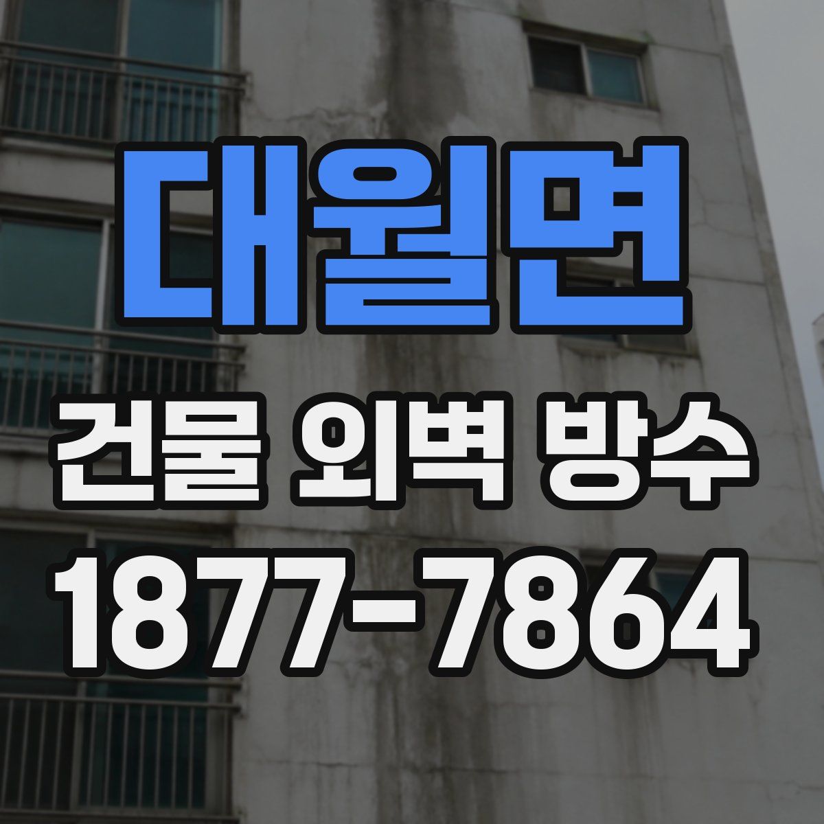 대월면 건물 외벽 방수