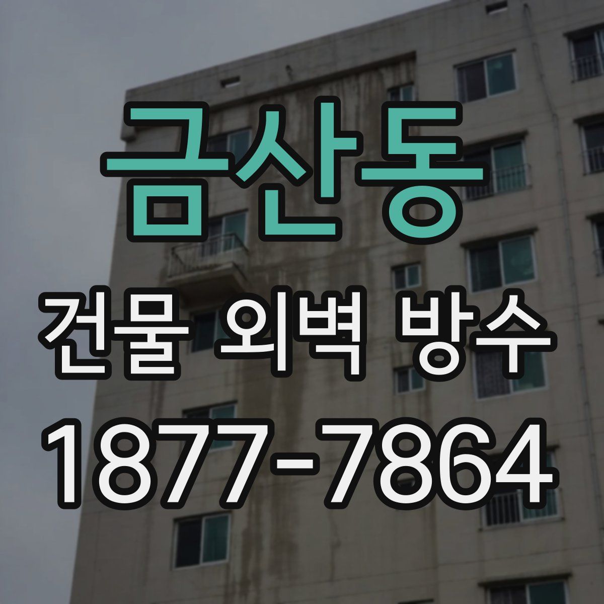 금산동 건물 외벽 방수