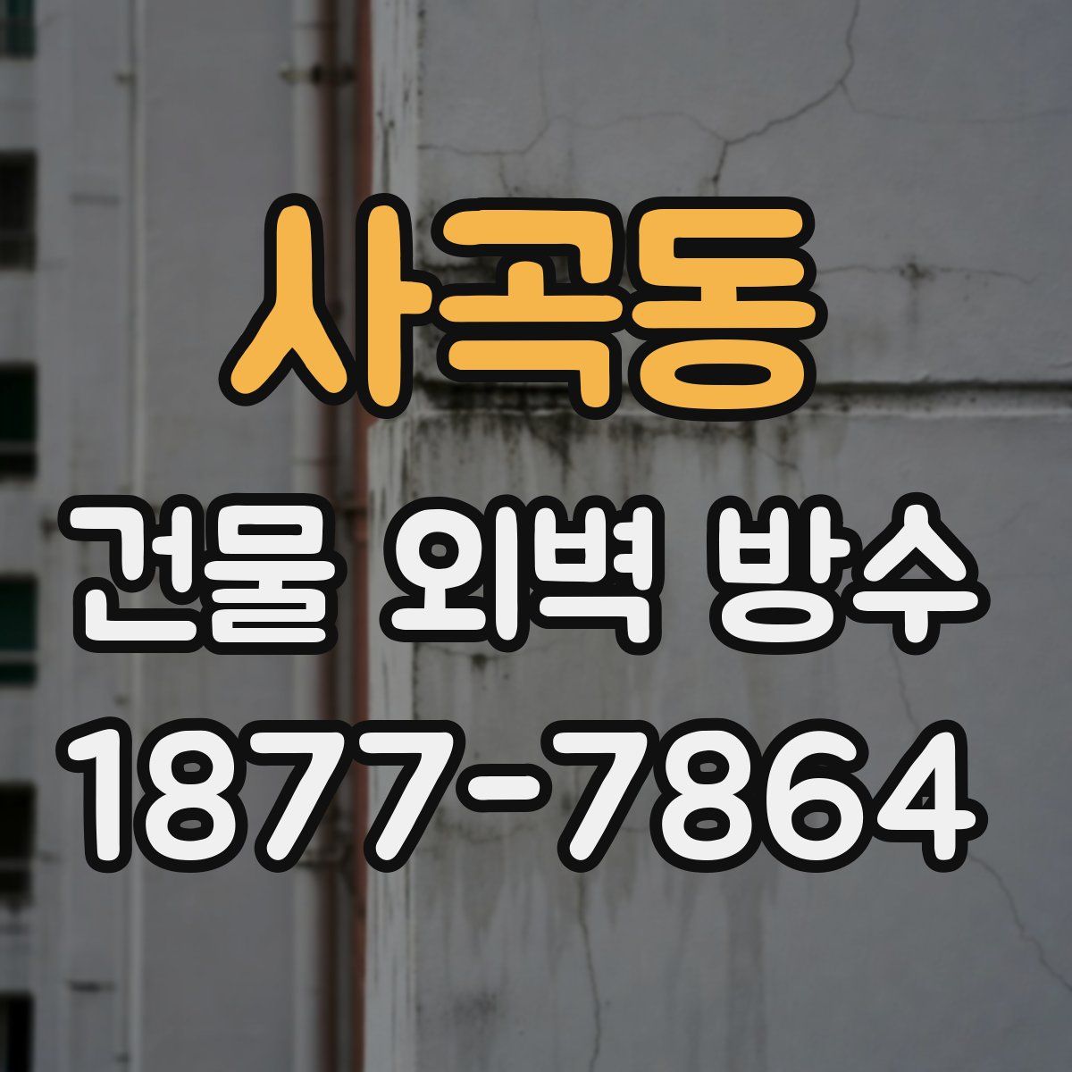사곡동 건물 외벽 방수