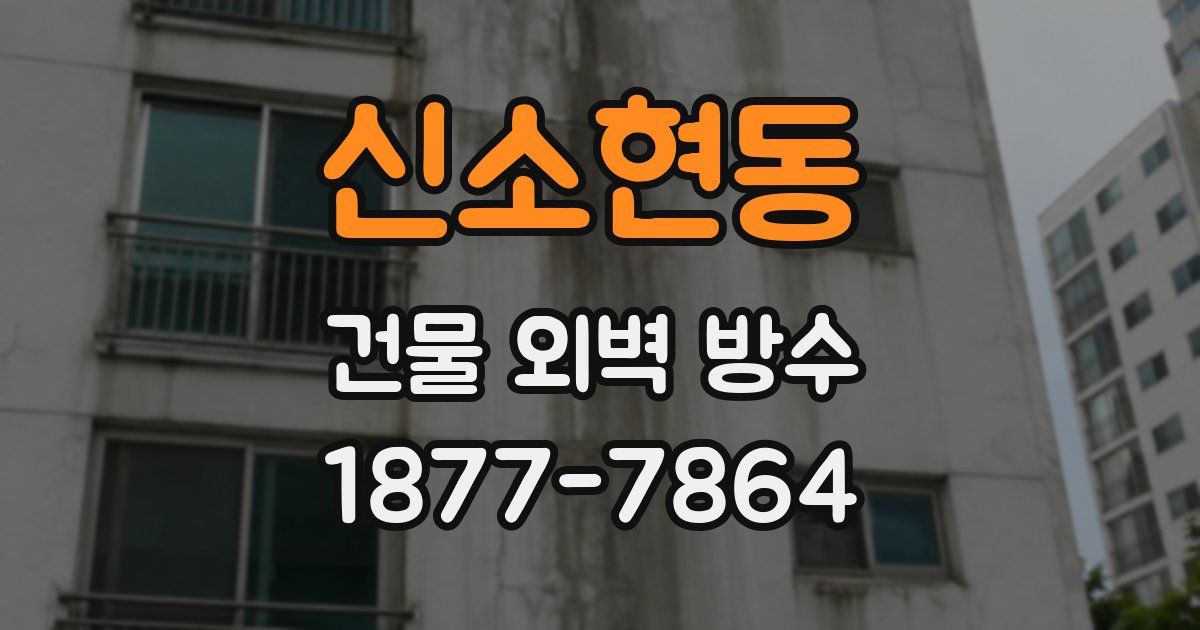 신소현동 건물 외벽 방수