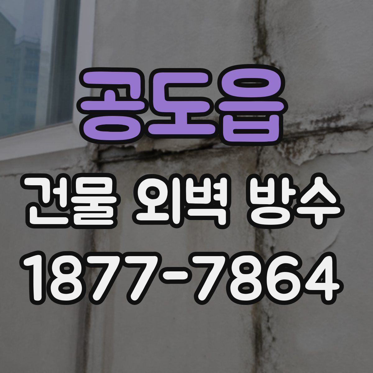 공도읍 건물 외벽 방수