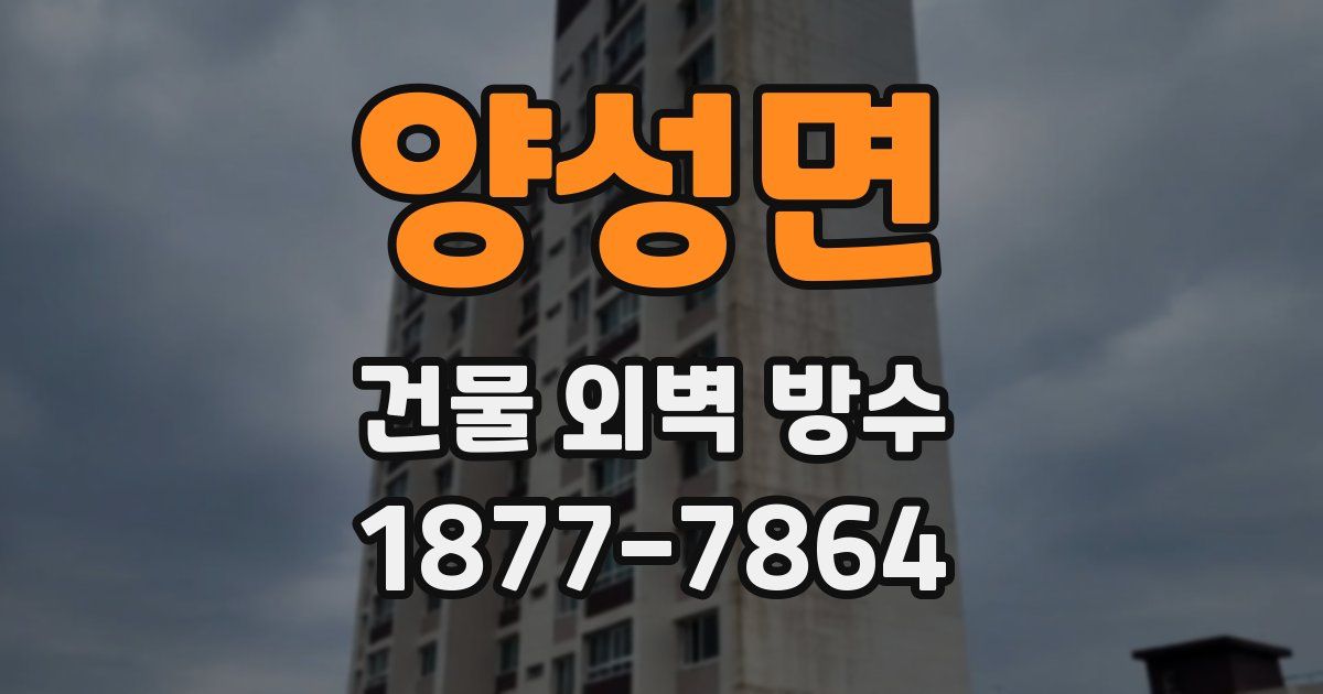 양성면 건물 외벽 방수