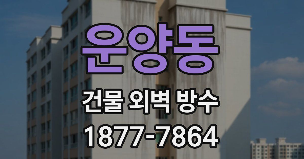 운양동 건물 외벽 방수