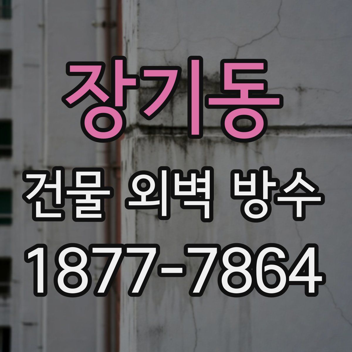 장기동 건물 외벽 방수