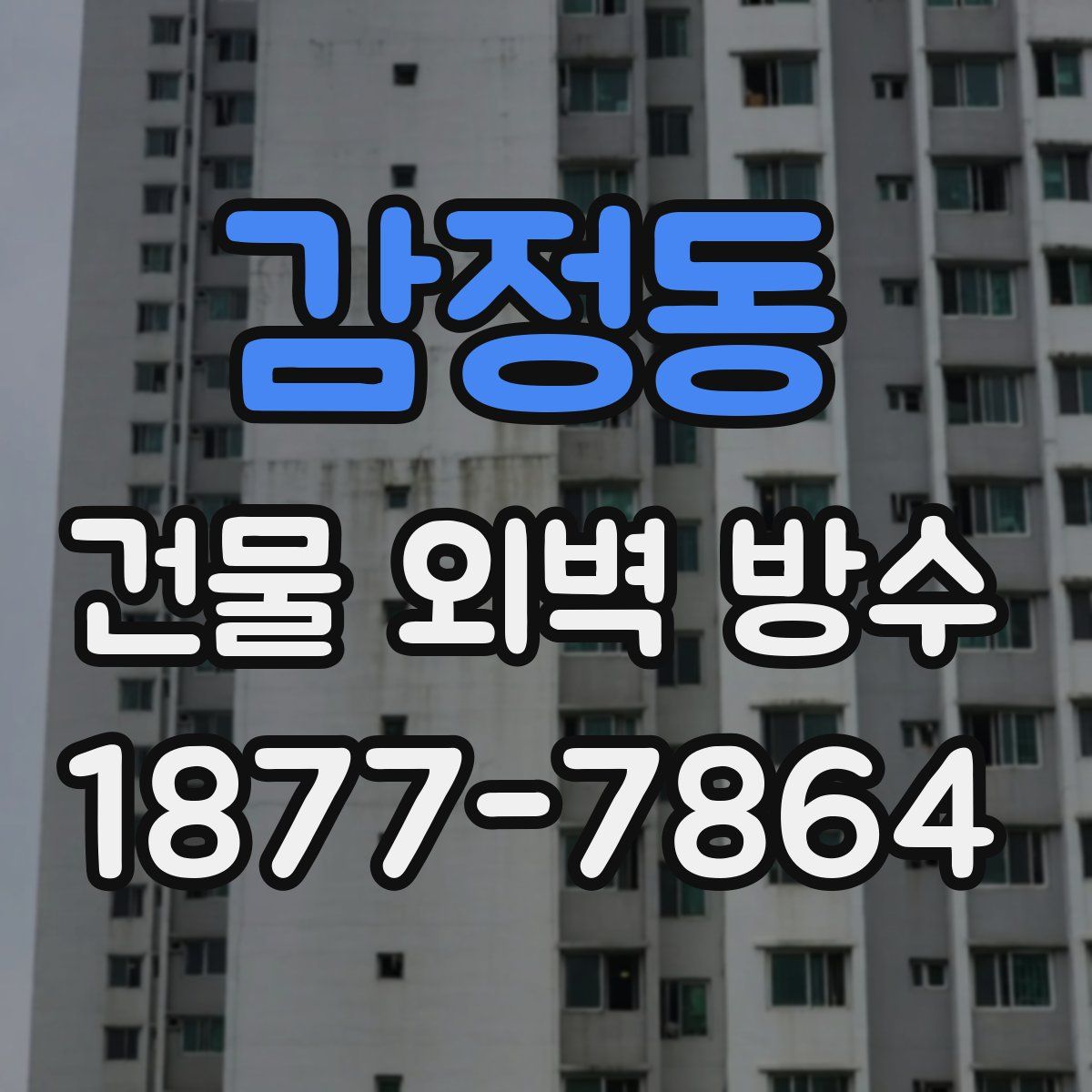 감정동 건물 외벽 방수