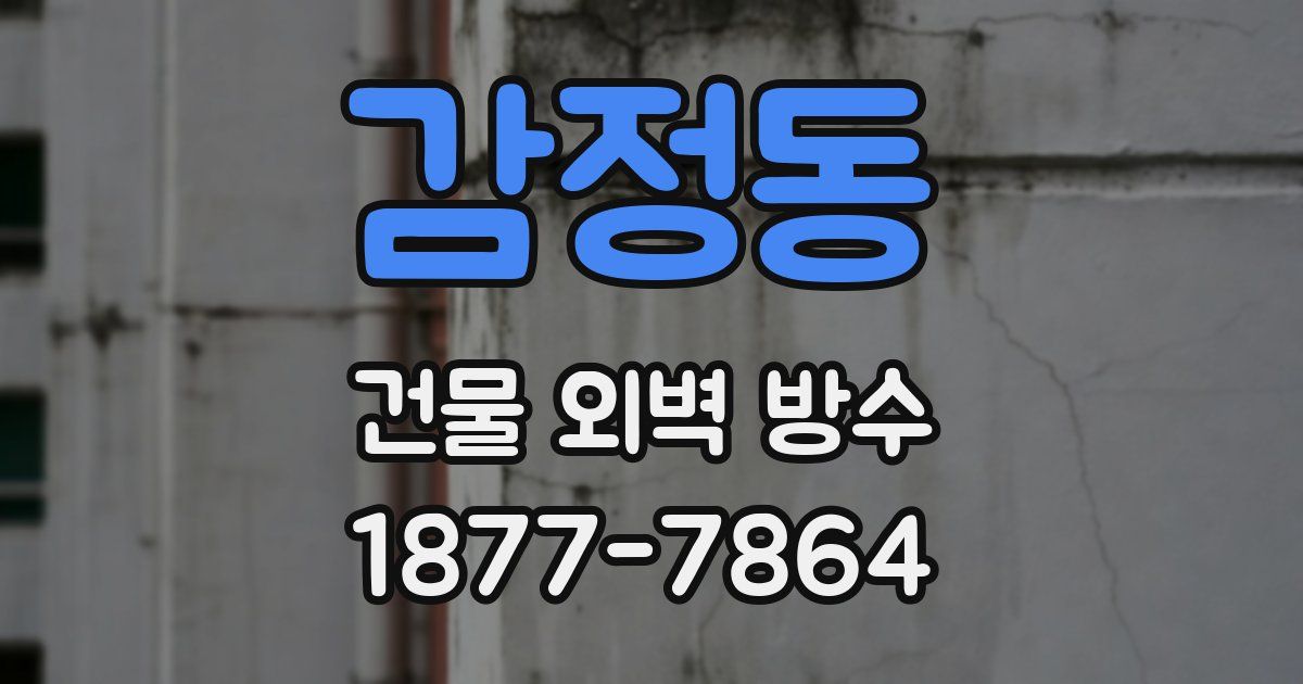 감정동 건물 외벽 방수
