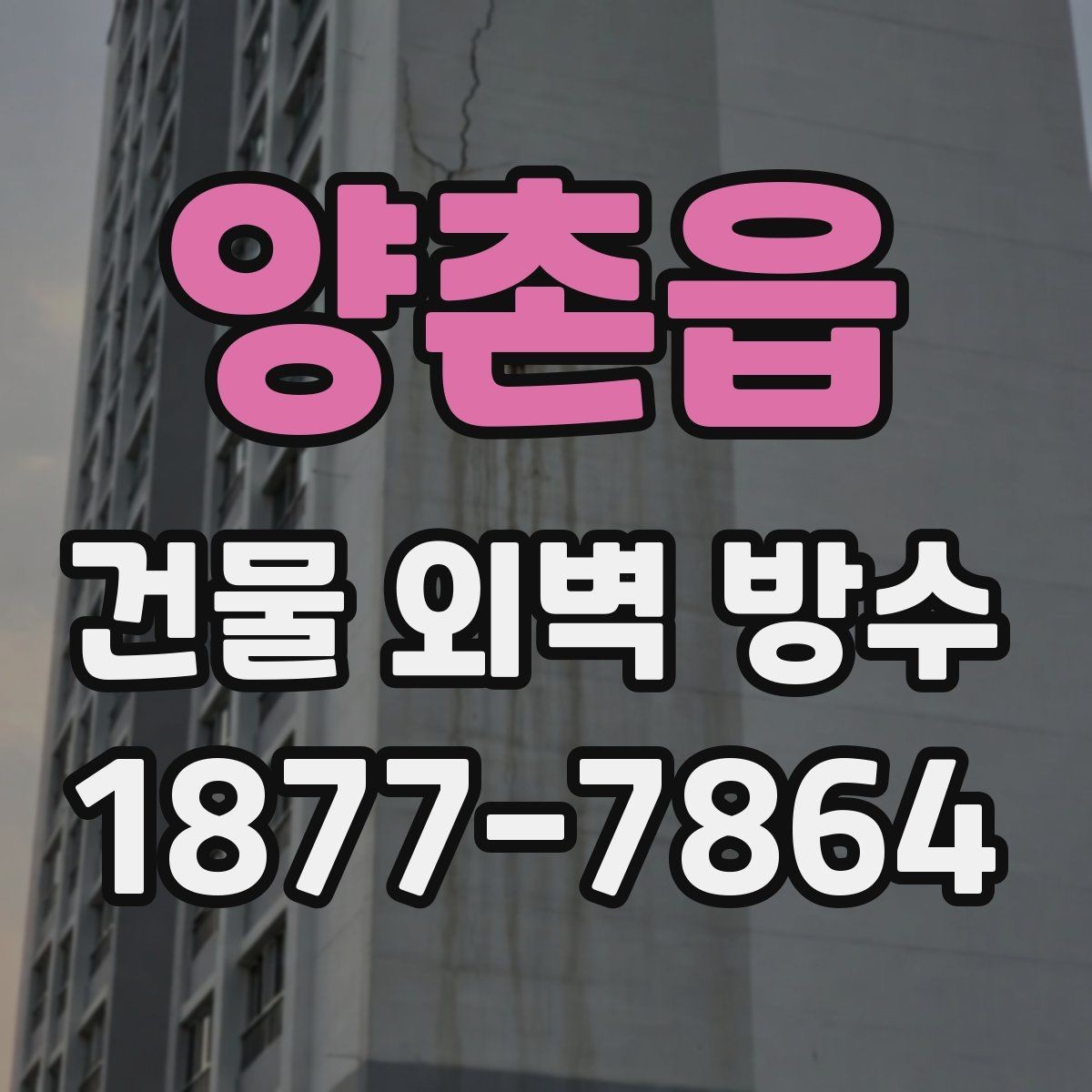 양촌읍 건물 외벽 방수 표면 상태가 결과에 미치는 영향