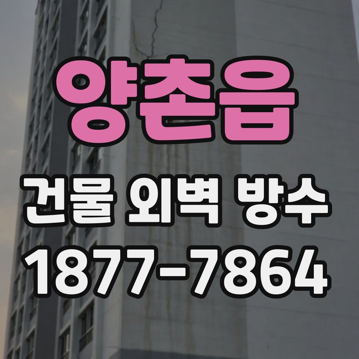 양촌읍 건물 외벽 방수