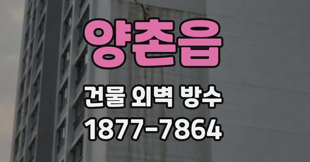 양촌읍 건물 외벽 방수