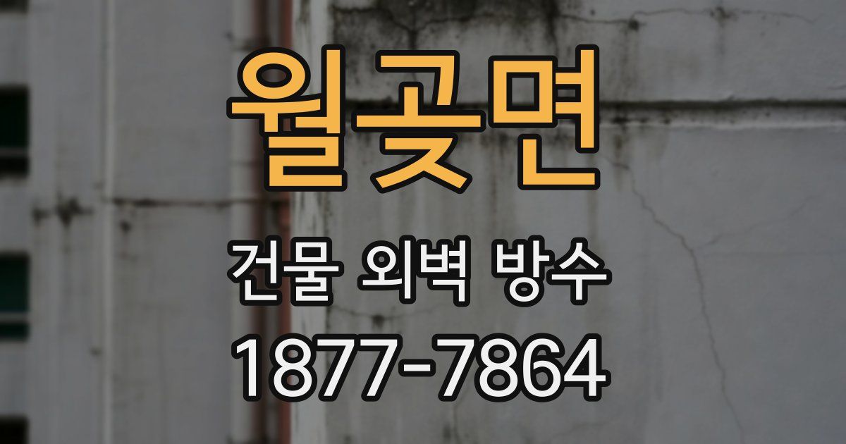 월곶면 건물 외벽 방수