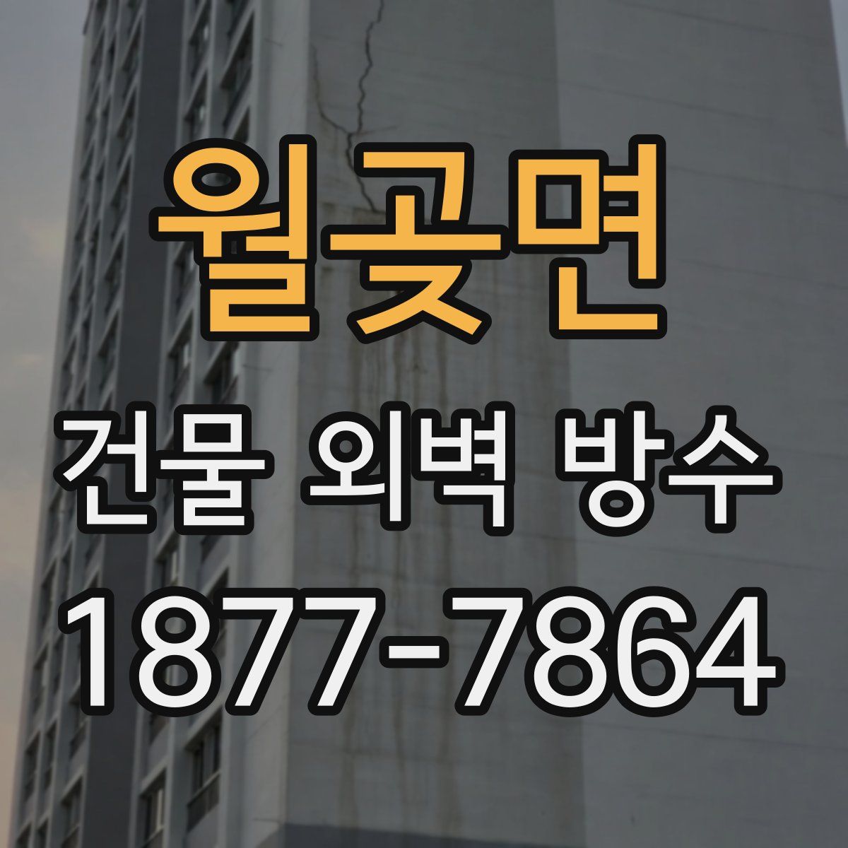 월곶면 건물 외벽 방수