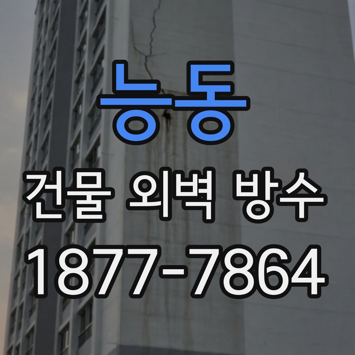 능동 건물 외벽 방수