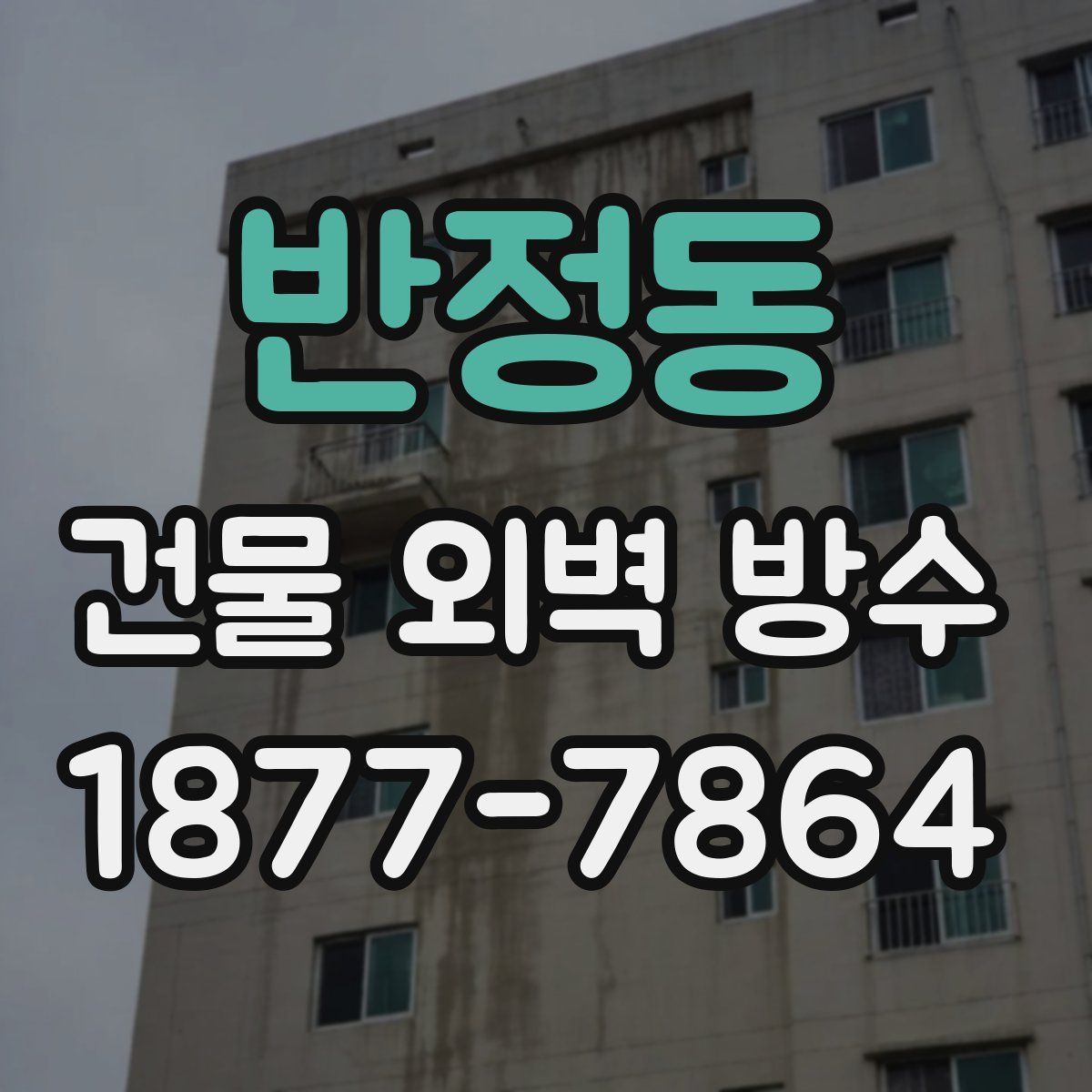 반정동 건물 외벽 방수