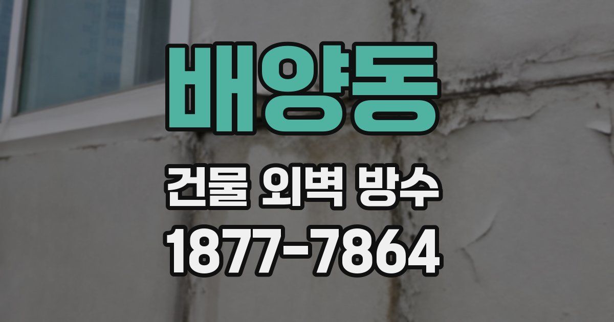 배양동 건물 외벽 방수