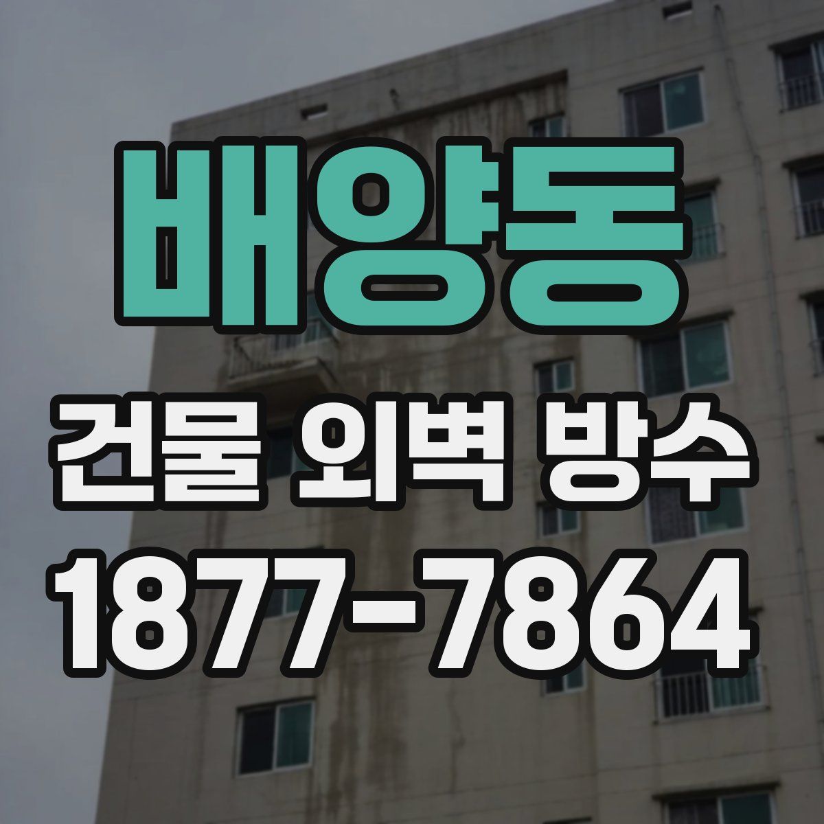 배양동 건물 외벽 방수