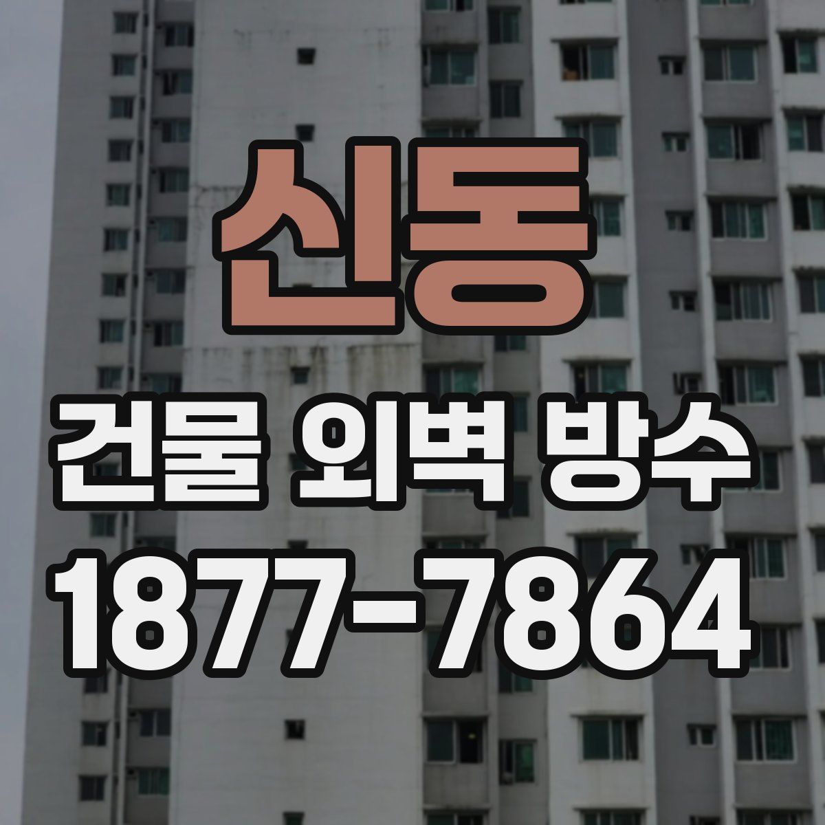 신동 건물 외벽 방수