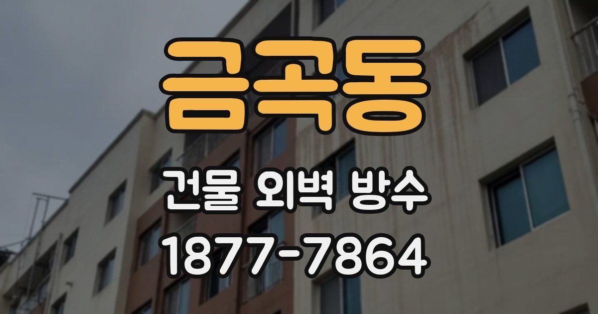 금곡동 건물 외벽 방수