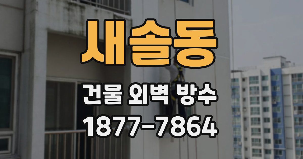새솔동 건물 외벽 방수