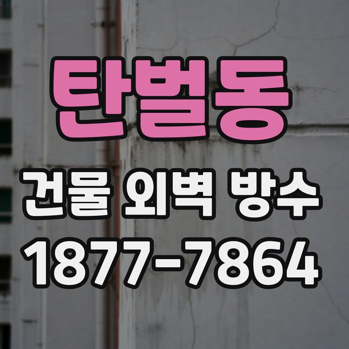 탄벌동 건물 외벽 방수