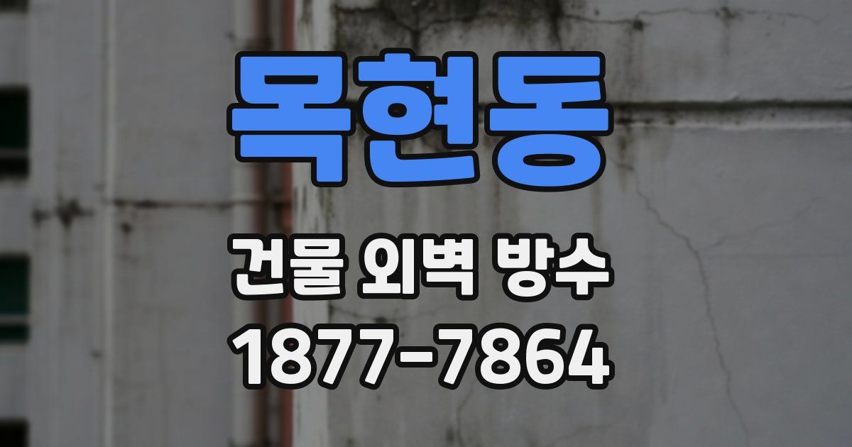 목현동 건물 외벽 방수