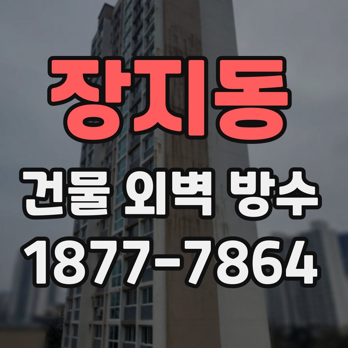 장지동 건물 외벽 방수