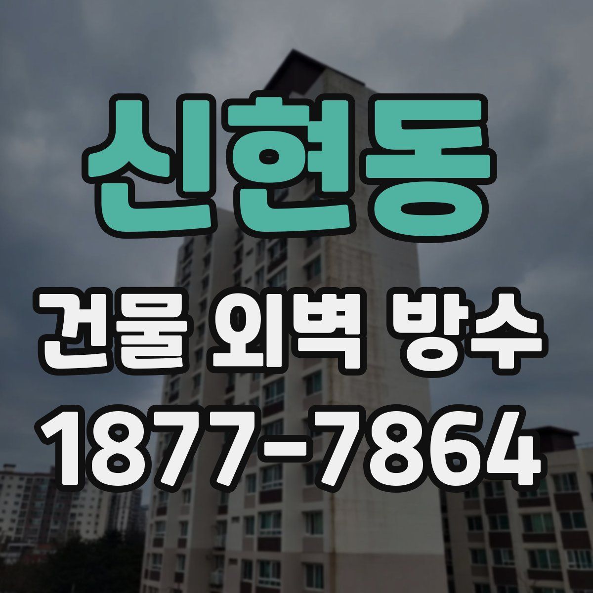 신현동 건물 외벽 방수