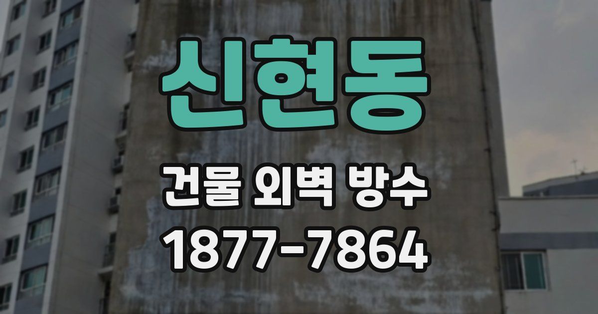 신현동 건물 외벽 방수