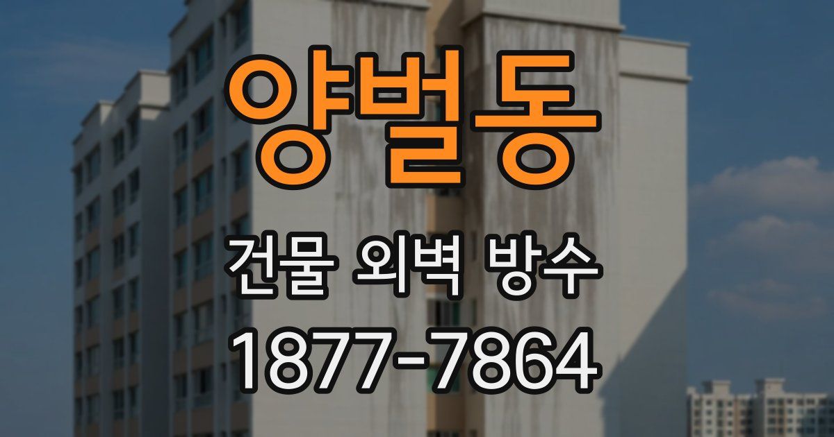 양벌동 건물 외벽 방수