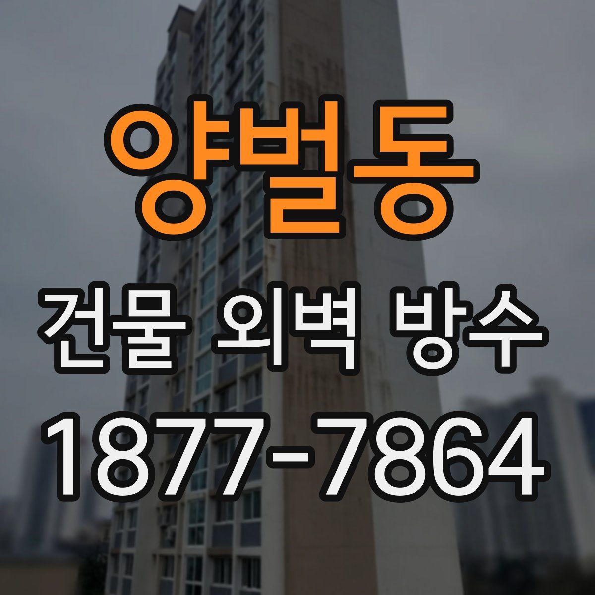 양벌동 건물 외벽 방수