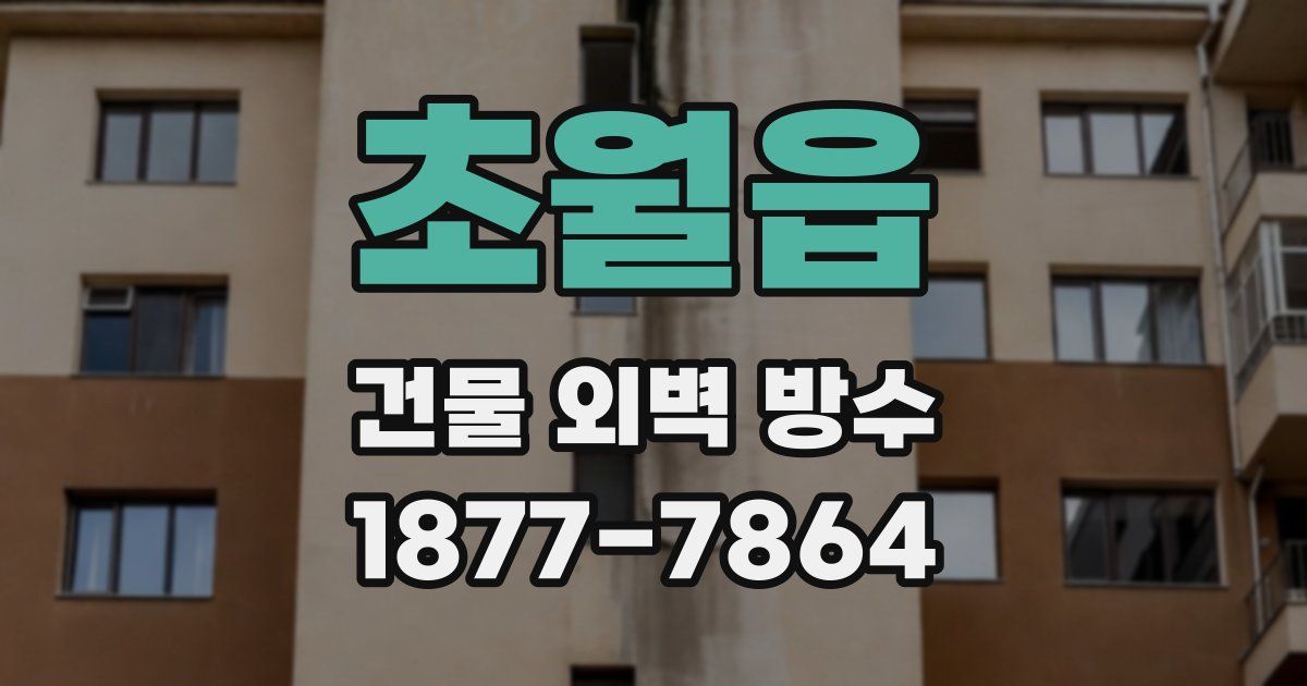 초월읍 건물 외벽 방수
