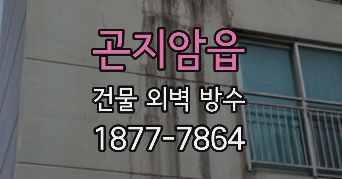 곤지암읍 건물 외벽 방수