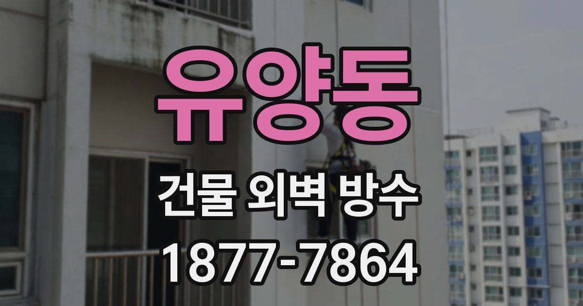 유양동 건물 외벽 방수