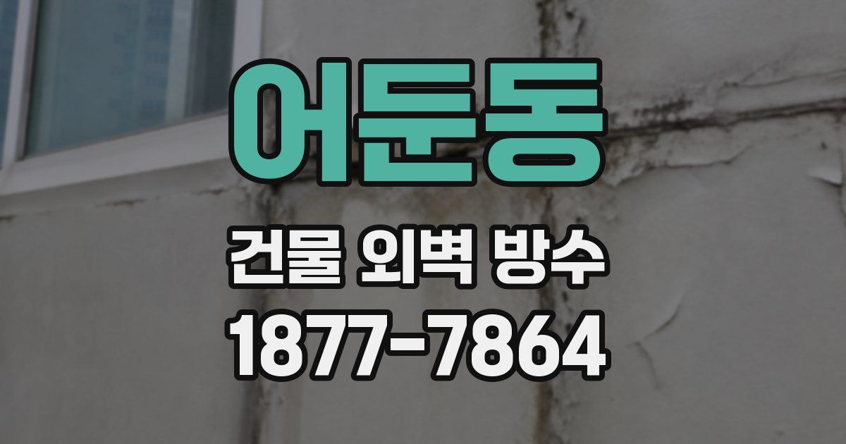 어둔동 건물 외벽 방수
