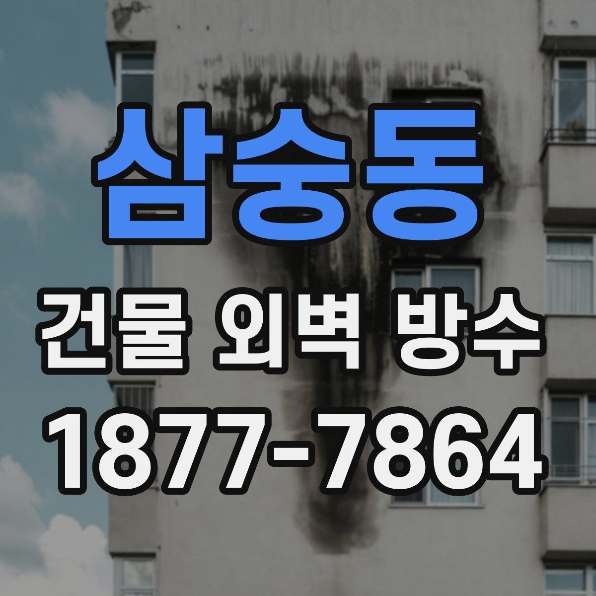 삼숭동 건물 외벽 방수 자재 비교로 알아보는 적합한 선택