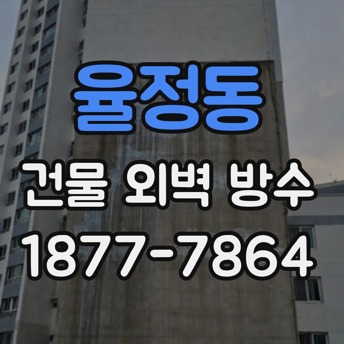 율정동 건물 외벽 방수