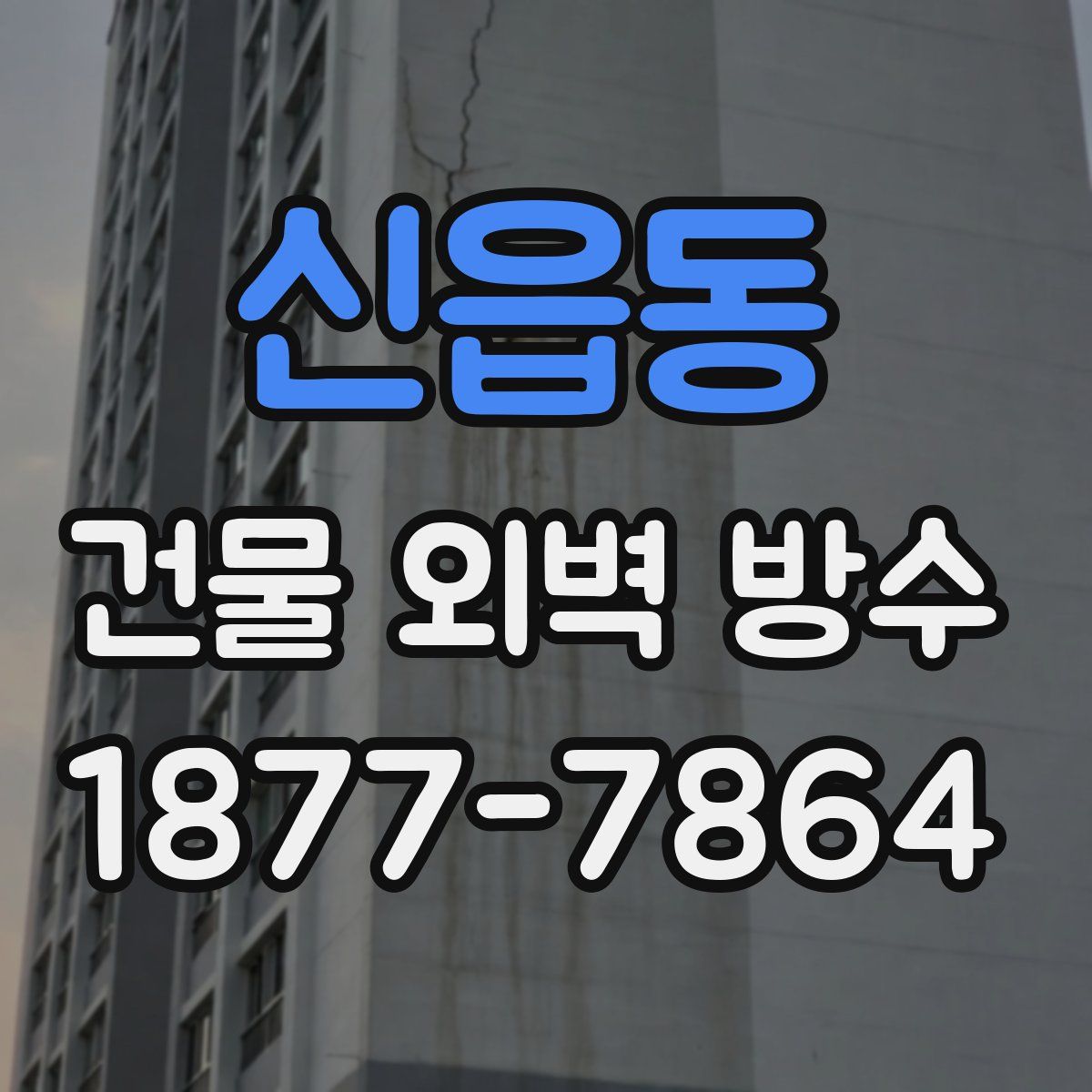 신읍동 건물 외벽 방수