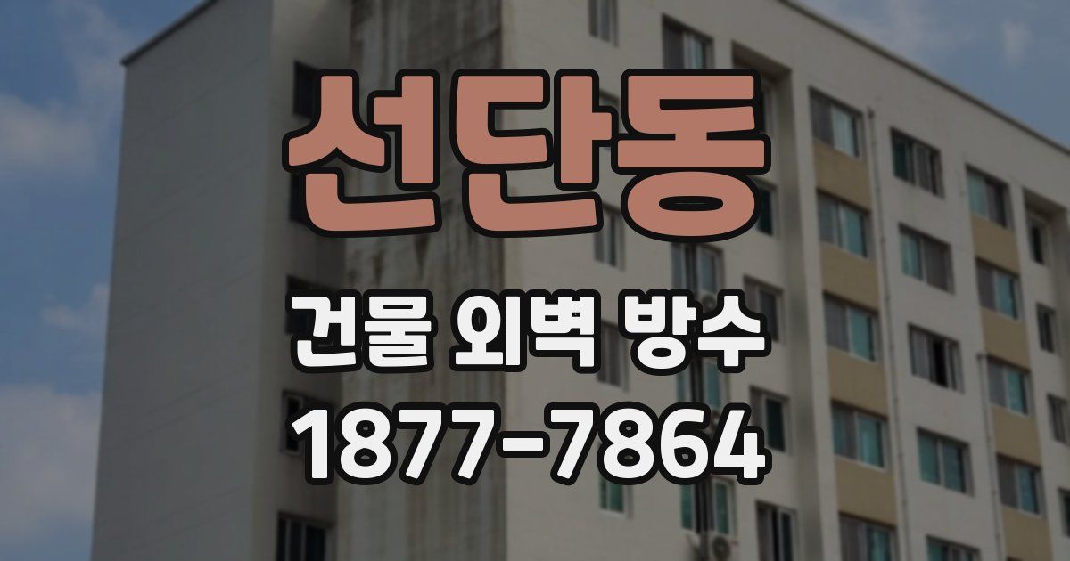 선단동 건물 외벽 방수
