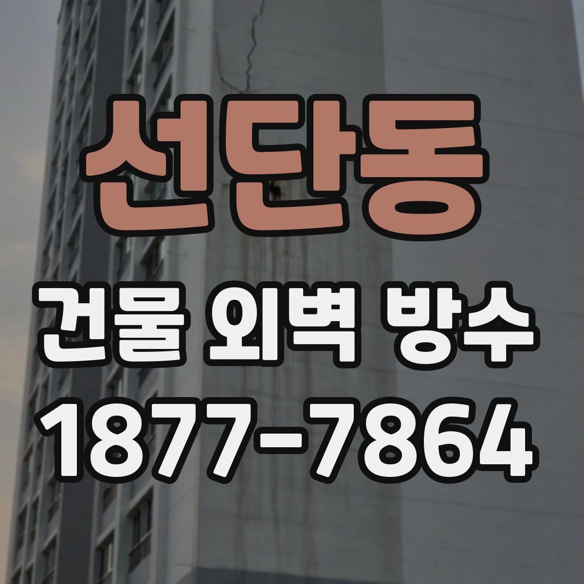 선단동 건물 외벽 방수