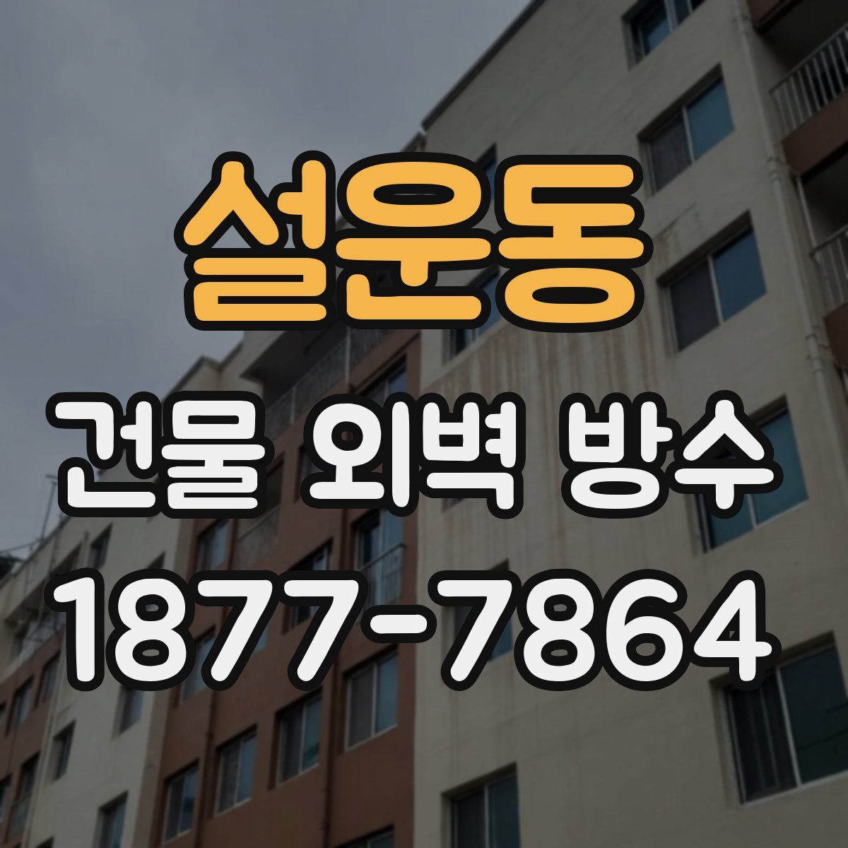 설운동 건물 외벽 방수