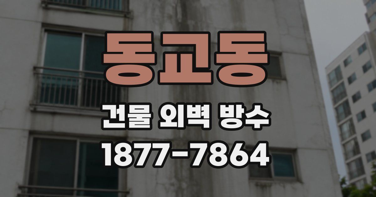 동교동 건물 외벽 방수