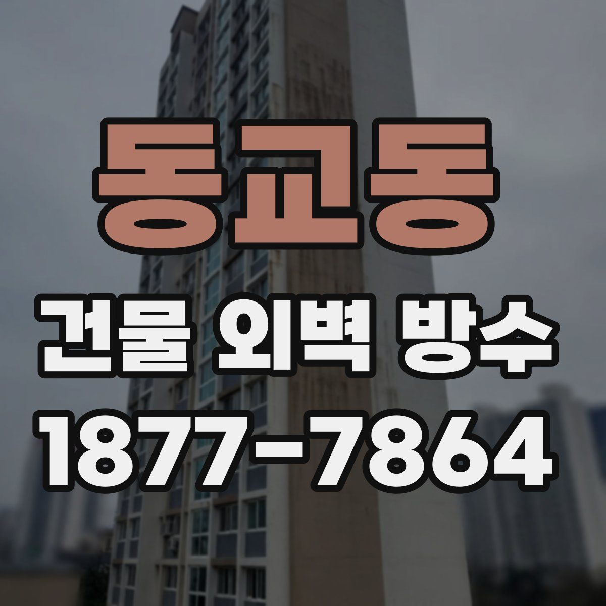 동교동 건물 외벽 방수